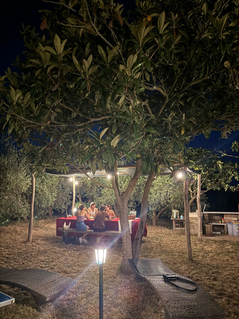 Piccolo gruppo di ospiti a cena all'aperto di sera tra gli ulivi dell'azienda Tinti Chianti, illuminati da luci warm